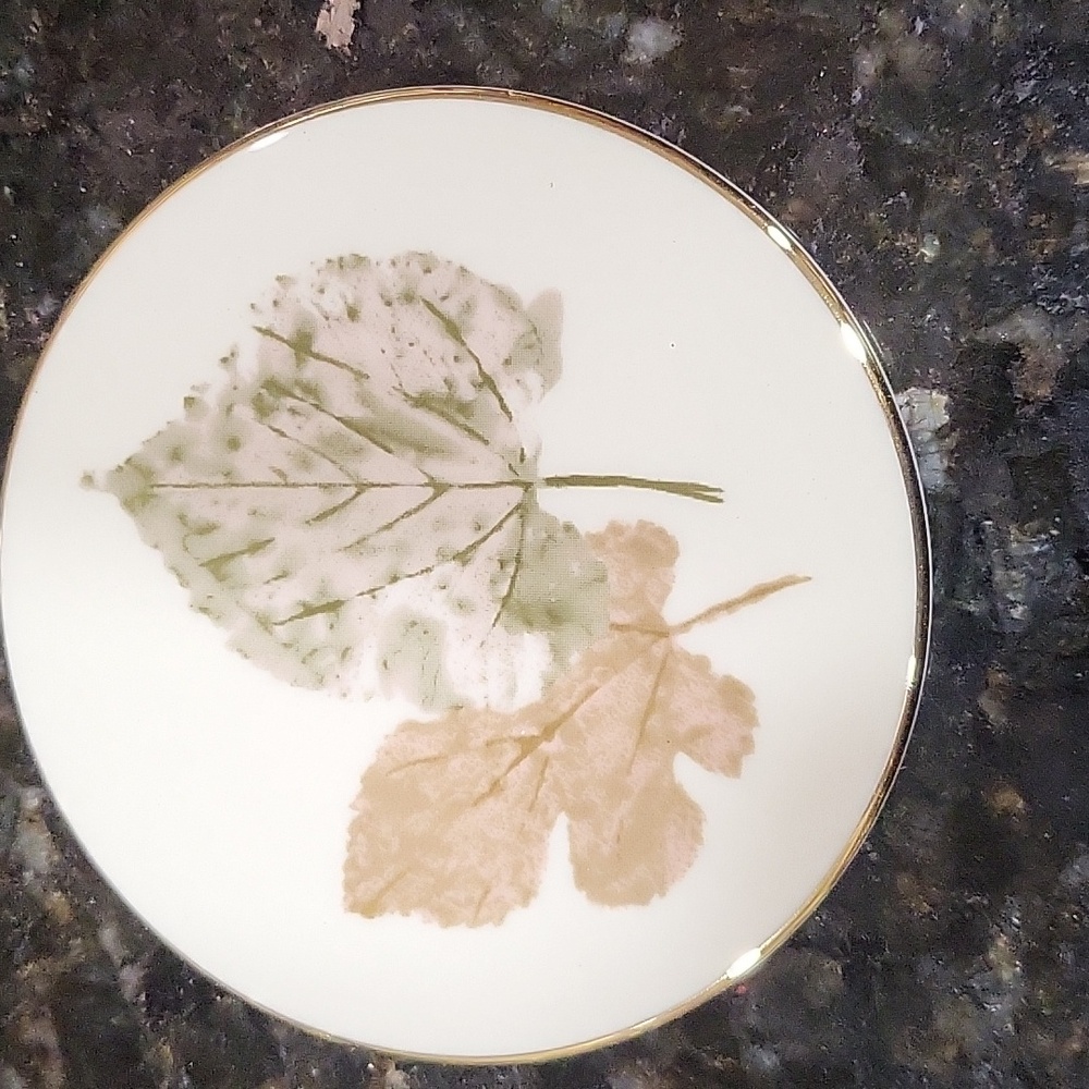 6 Coaster Set Burnished Leaves Collection by Lenox - Picture 3 of 10